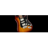 0144533552-0144533552_gtr_frtbdydtl_001_nr