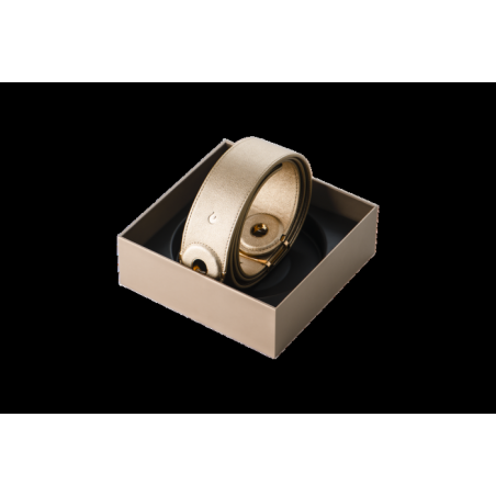 LA-0040-COVER_Strap-pro-or-1-700x467