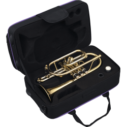 SML PARIS CO50 Anneaux - Laiton verni