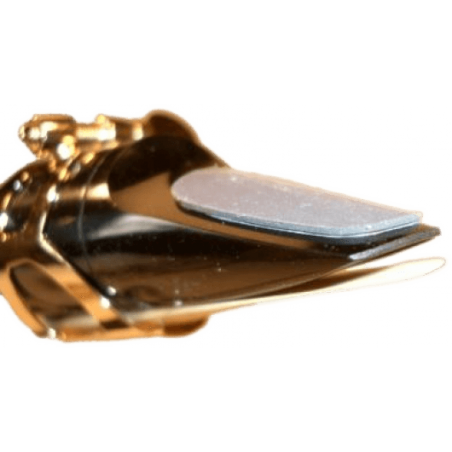 Protéges bec BG A12L - Large transparent 0,9 mm x 6