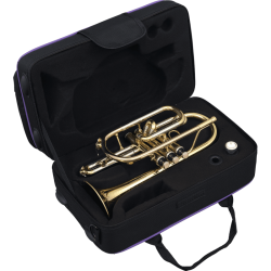 VSM_CO50-VSM-CO50-2-B