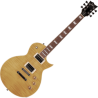 GES_EC256-VN-GES-EC256-VN-i-B