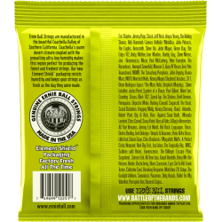 CORDE ERNIE BALL CLASSIC PURE NICKEL REGULAR SLINKY