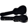 HLG_100AS-HLG-100AS-2-B