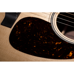 GMA_D-16E-ROSEWOOD-GMA-D-16E-R-10-B