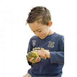 70962-malle-9-instruments-a-effets-sonores3