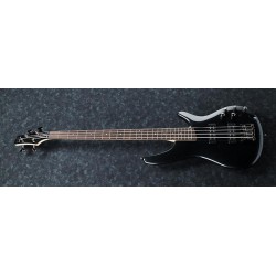 SR300EIPT-p_region_SR300E_IPT_1P_04_sub_3