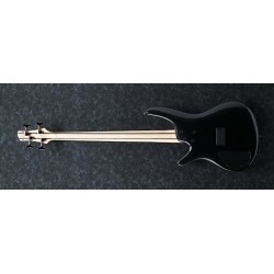 SR300EIPT-p_region_SR300E_IPT_1P_04_sub_4