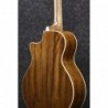 Guitare Èlectro acoustique Ibanez AE245NT