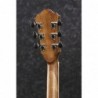 Guitare Èlectro acoustique Ibanez AE245NT