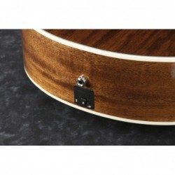 Guitare Èlectro acoustique Ibanez AE245NT