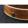 Guitare Èlectro acoustique Ibanez AE245NT