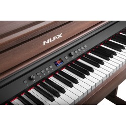 NUX NCK-430 Marron