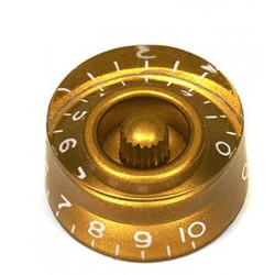 LP BOUTON PLEXI-CYLINDRIC GOLD (2)