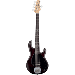 STERLING BY MUSIC MAN - BASSE STINGRAY 5 WALNUT SATIN