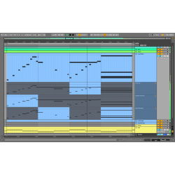 88543-Ableton-Live-11-Release_2