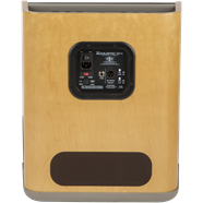 AMPLI Fender® ACOUSTIC SFX