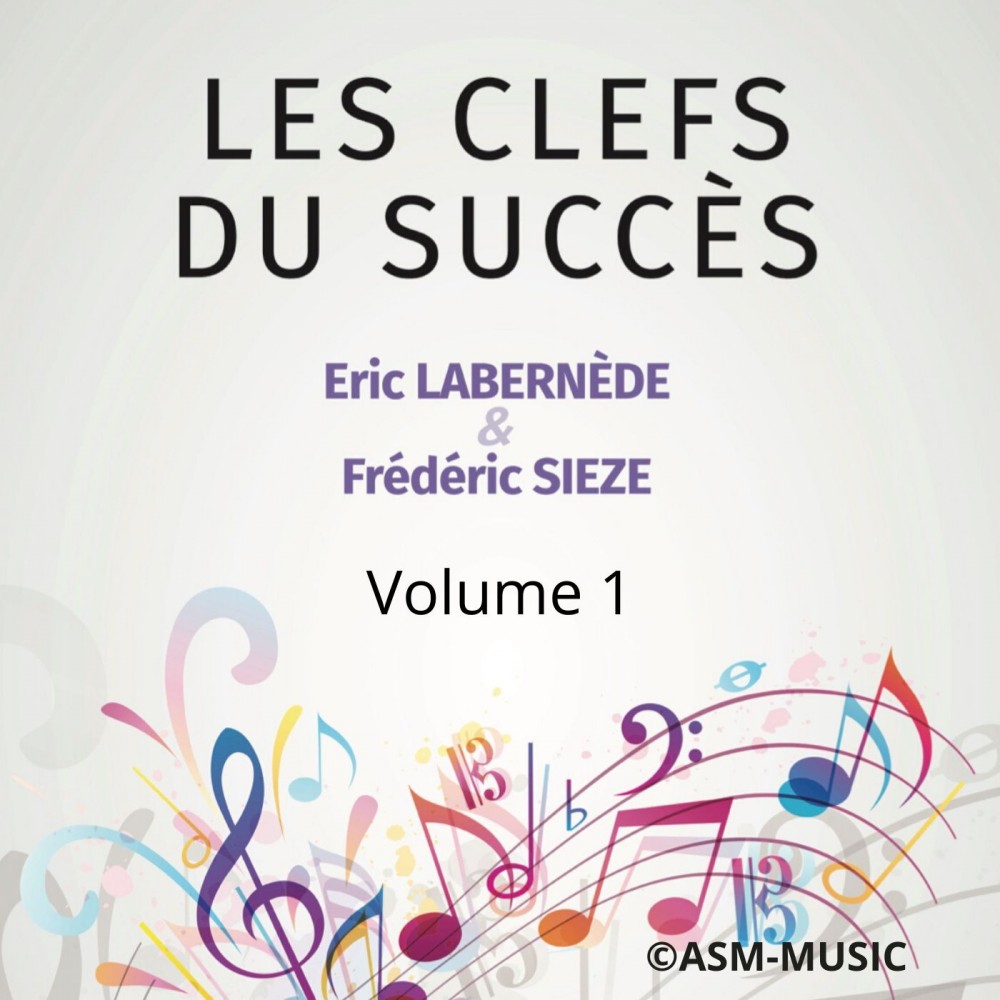 LIVRE LES CLEFS DU SUCCES VOLUME 1 - ERIC LABERNEDE ET FREDERIC SIEZE