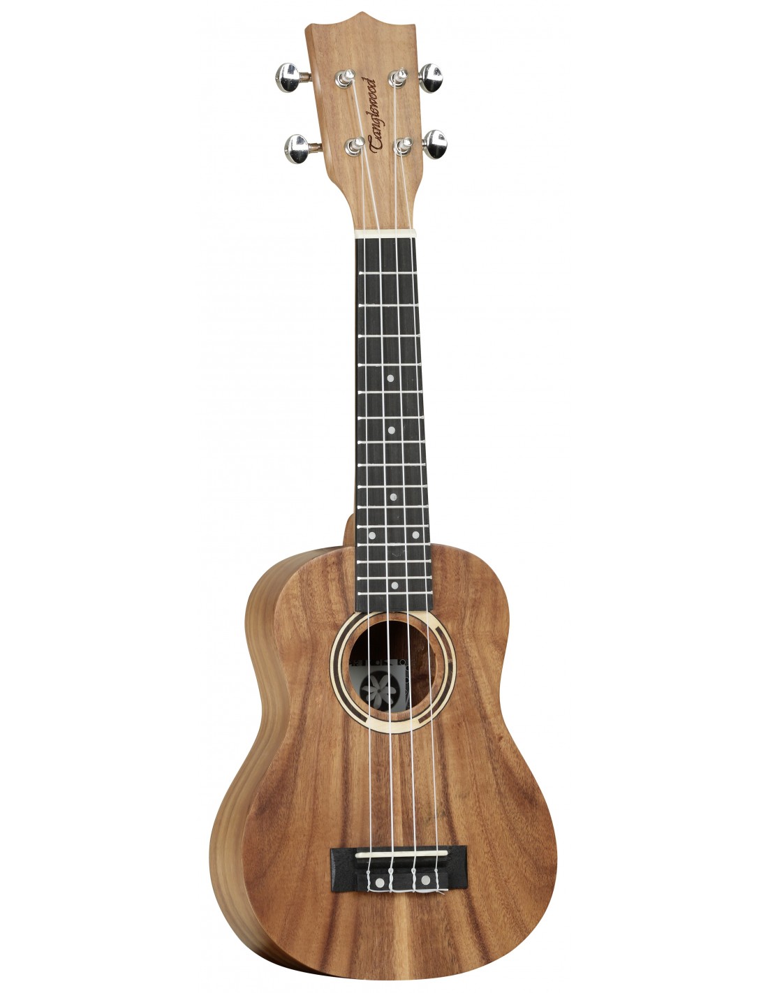 Ukulele TANGLEWOOD Tiare TWT7 CN avec housse