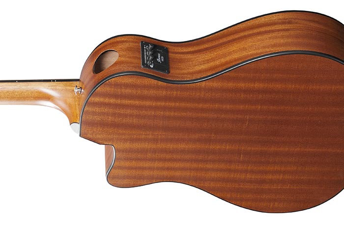 Guitare électro acoustique IBANEZ AAM54CEOPN