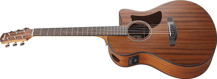 Guitare électro acoustique IBANEZ AAM54CEOPN
