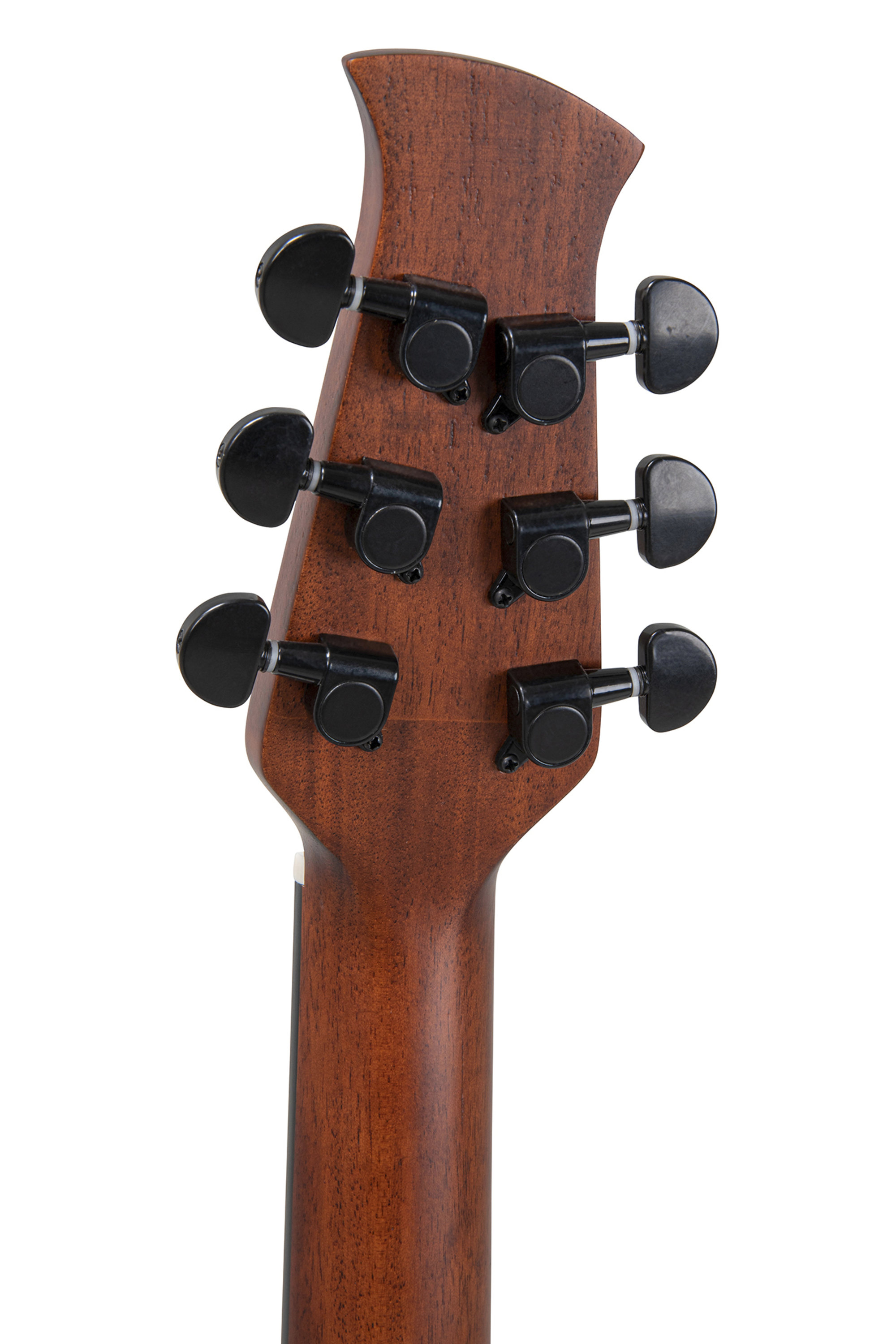 Applause Guitare acoustique Wood Classics AAD96-M naturel mat acajou