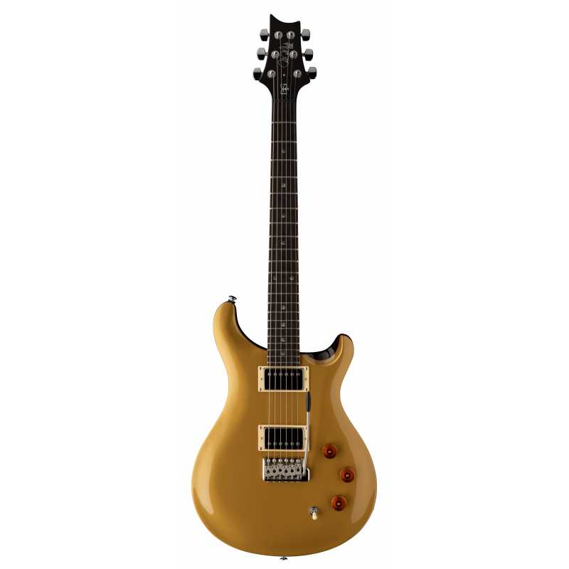 Guitare PRS SE DGT