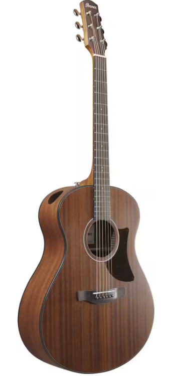 Guitare acoustique IBANEZ AAM54OPN