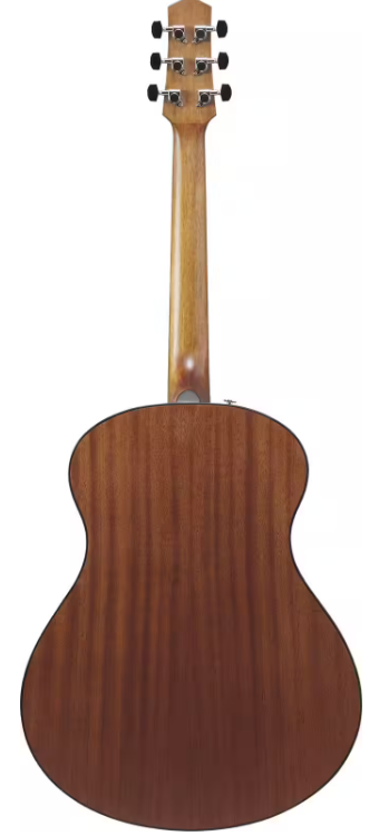 Guitare acoustique IBANEZ AAM54OPN