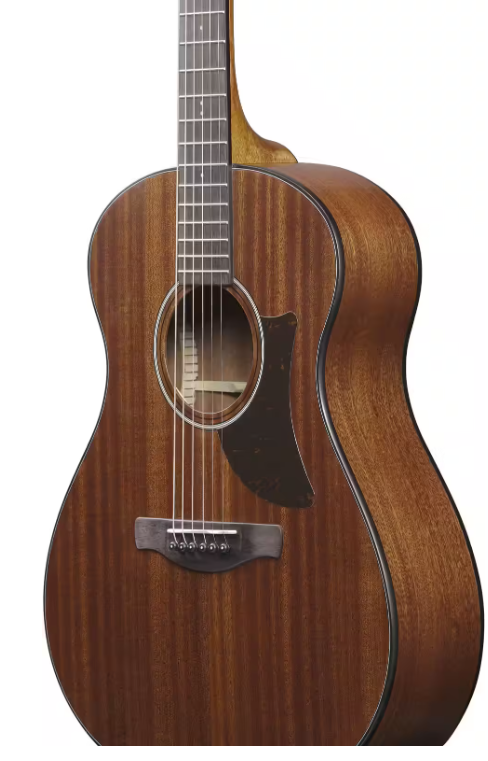 Guitare acoustique IBANEZ AAM54OPN