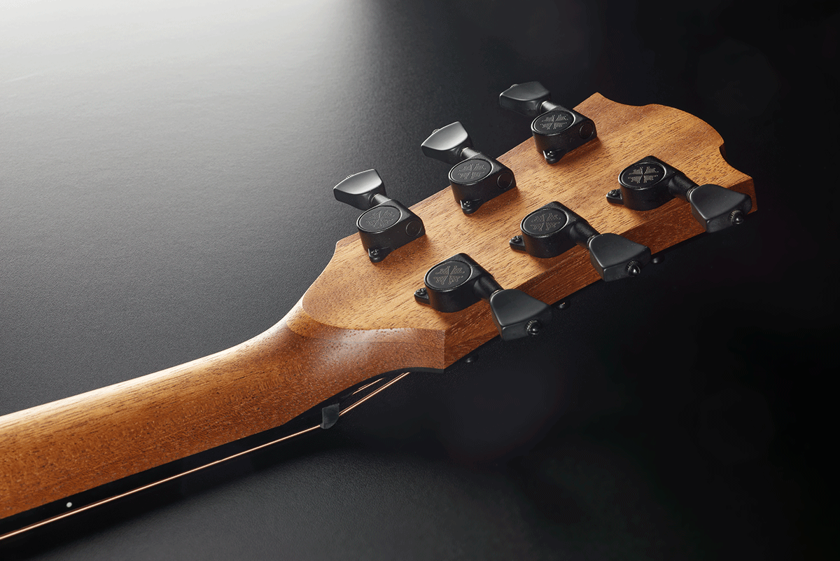 GUITARE LAG Sauvage Auditorium