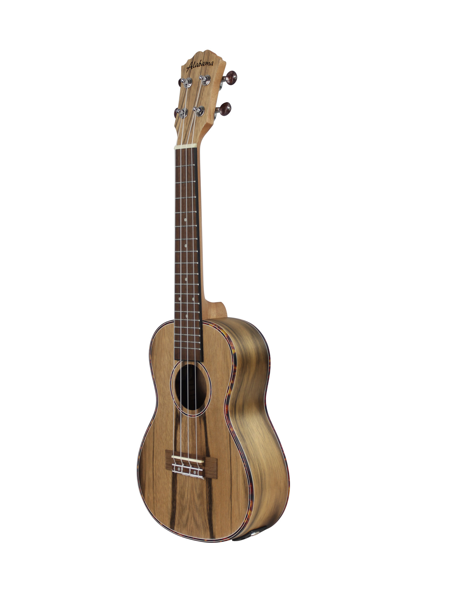 UKULELE CONCERT ALABAMA DAO ELECTRO