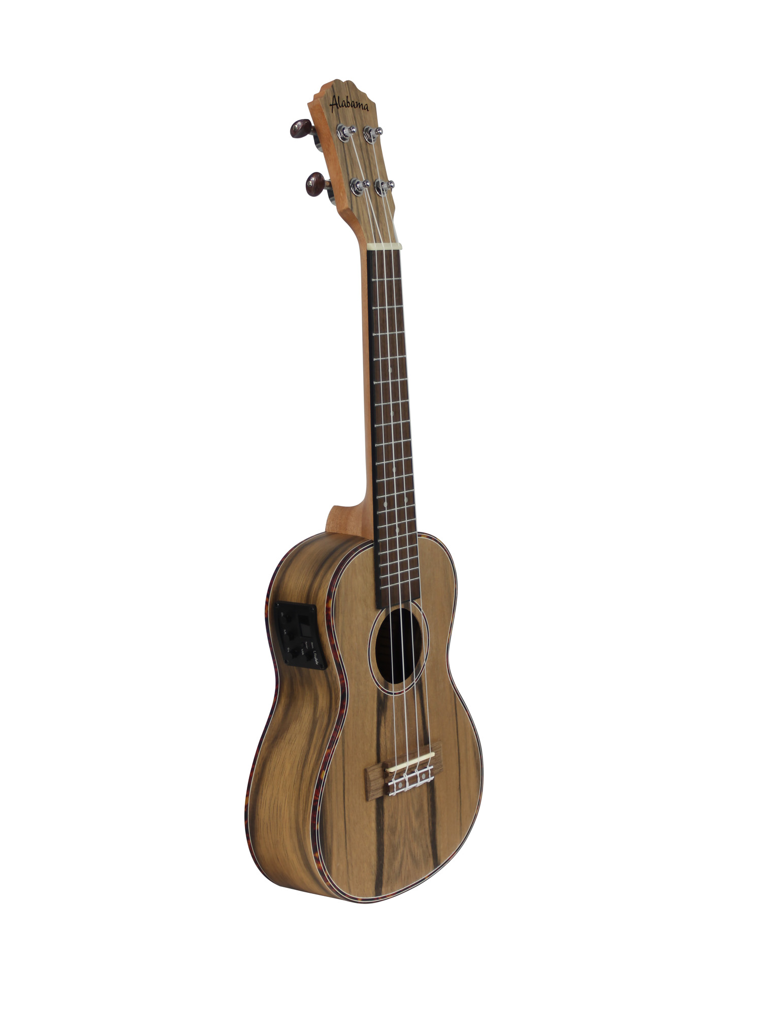 UKULELE CONCERT ALABAMA DAO ELECTRO