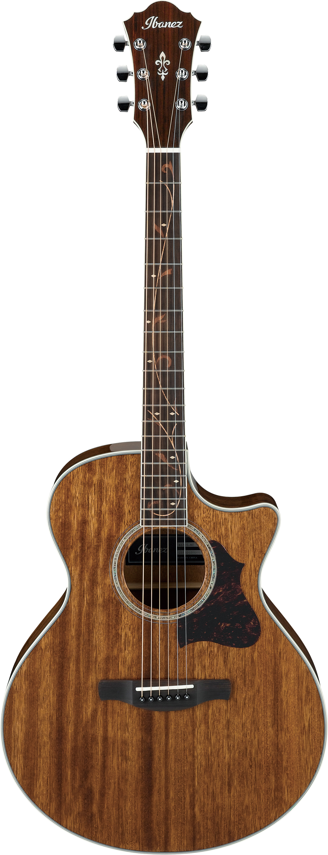 Guitare électro acoustique Ibanez AE245NT