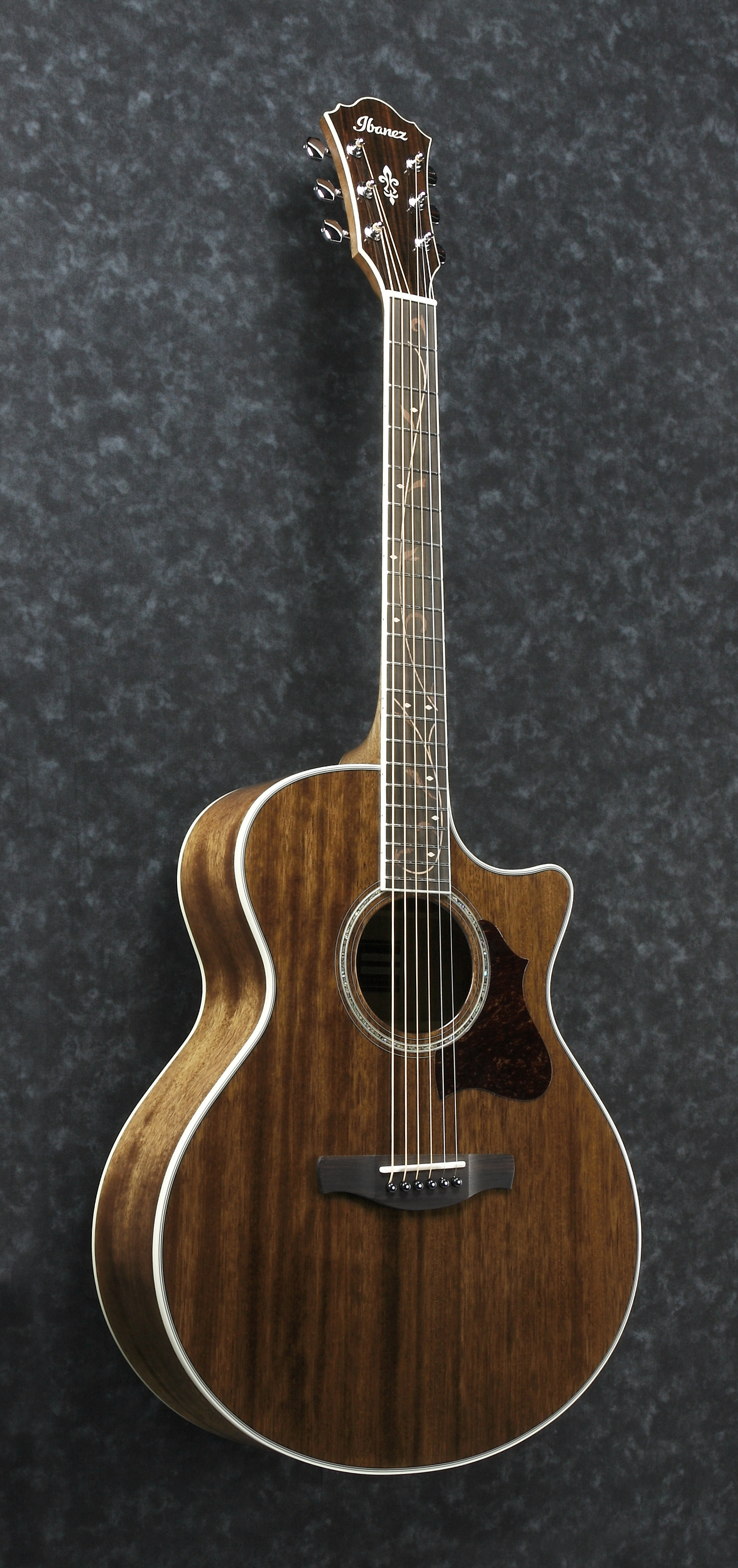 Guitare électro acoustique Ibanez AE245NT