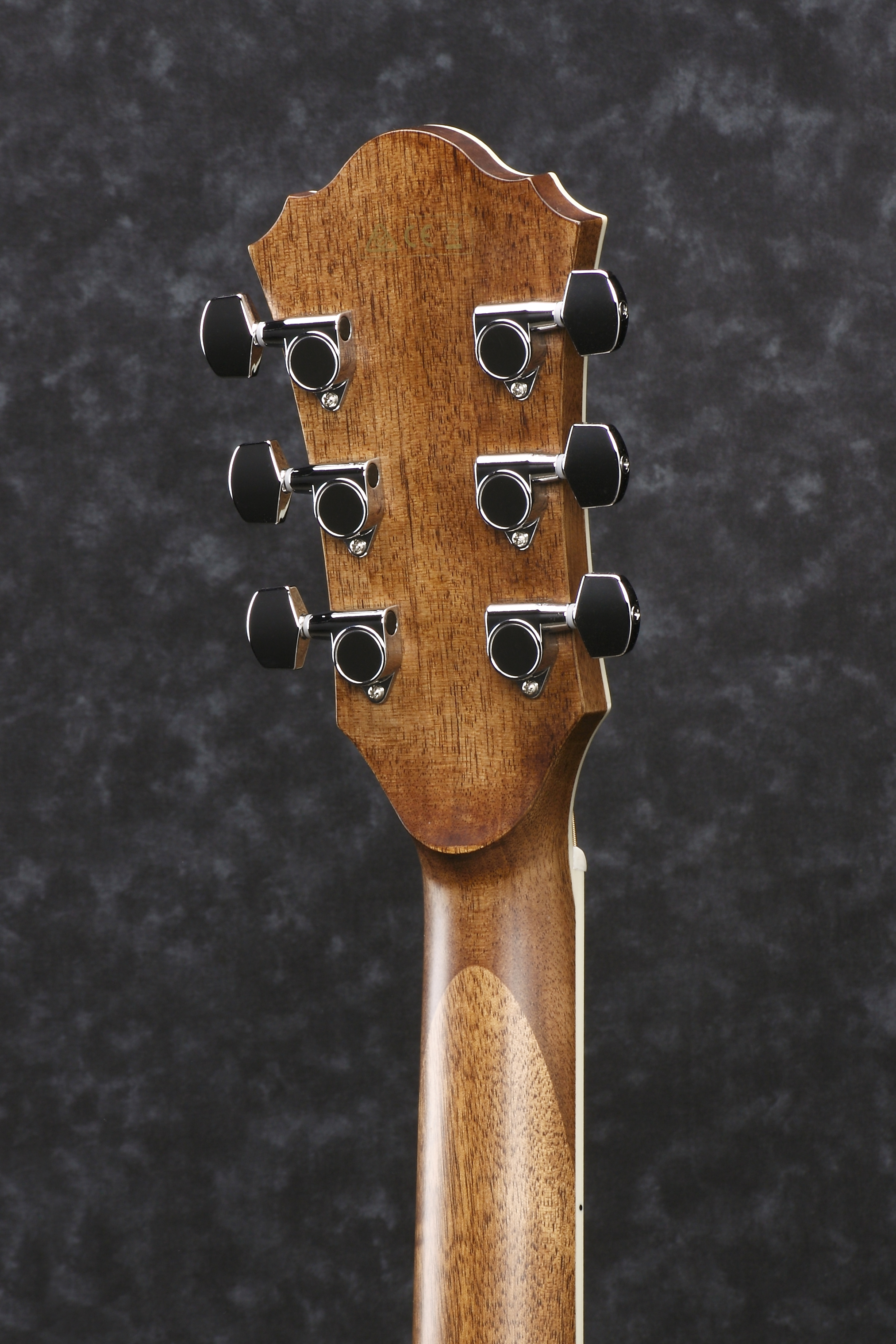 Guitare électro acoustique Ibanez AE245NT