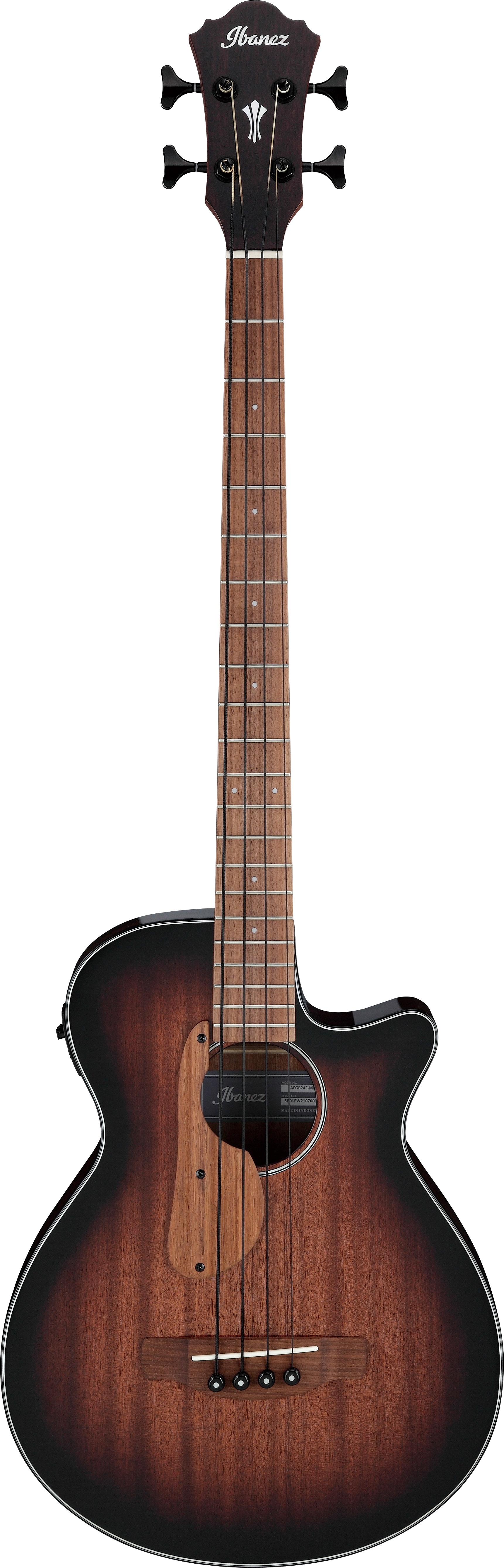 Basse électro acoustique Ibanez AEGB24EMHS
