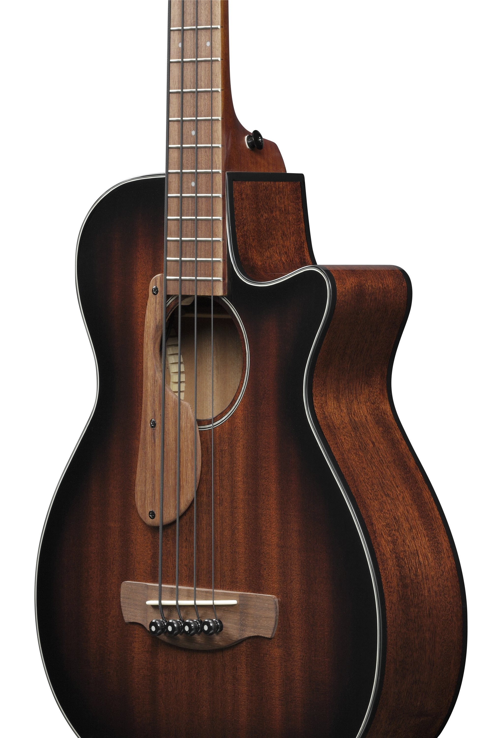 Basse électro acoustique Ibanez AEGB24EMHS