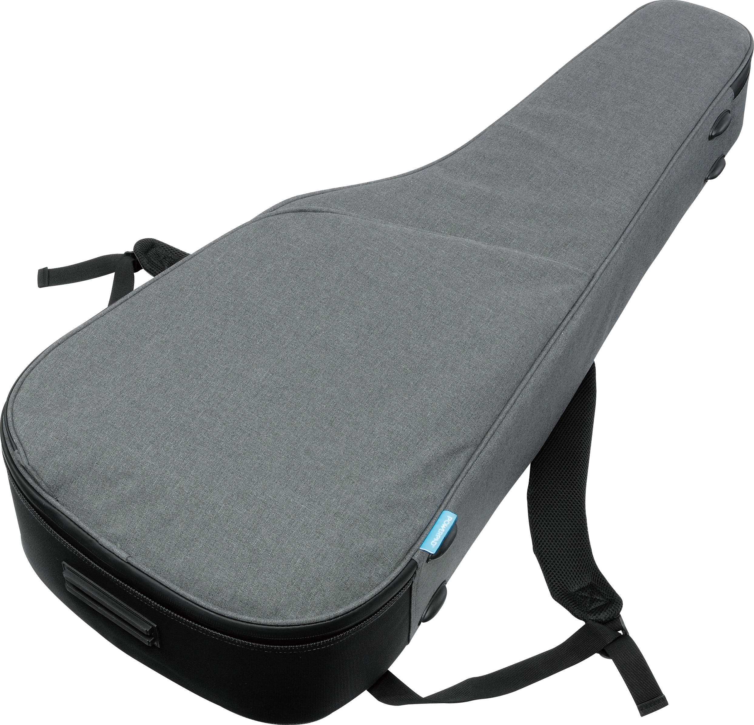 Guitare électro acoustique Ibanez PA300ENSL