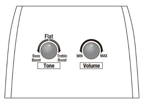 Guitare Ibanez AAM370M1CE-TPA Transparent Panda