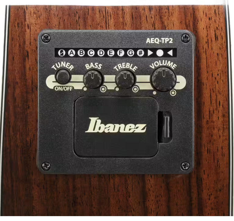 Guitare Ibanez AC391RCEBKH Black Top