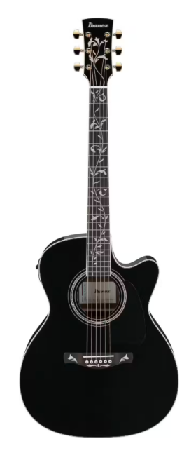 Guitare Ibanez AC391RCEBKH Black Top