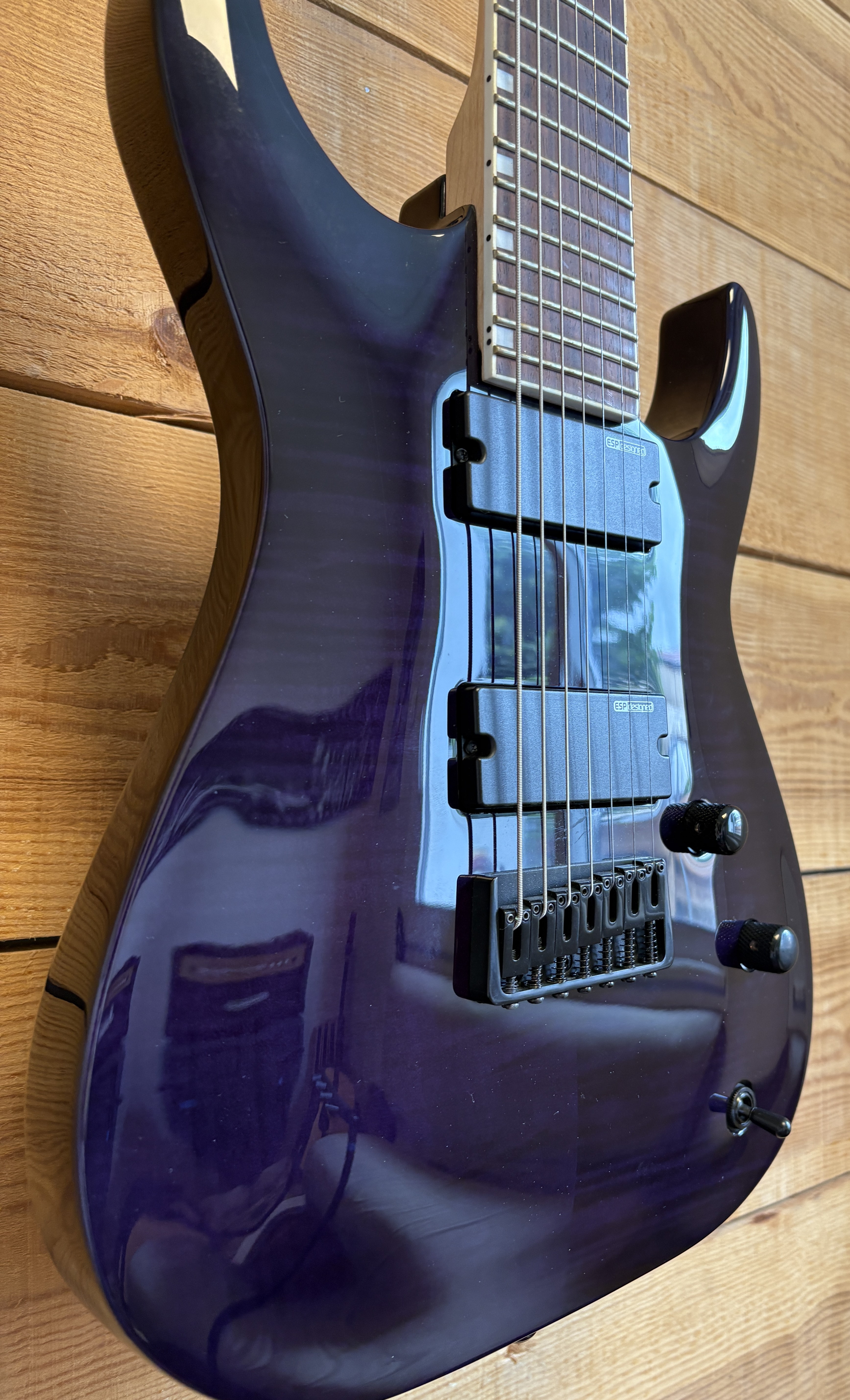 OCCASION LTD SH 207 Brian Head Welch Signature - avec étui