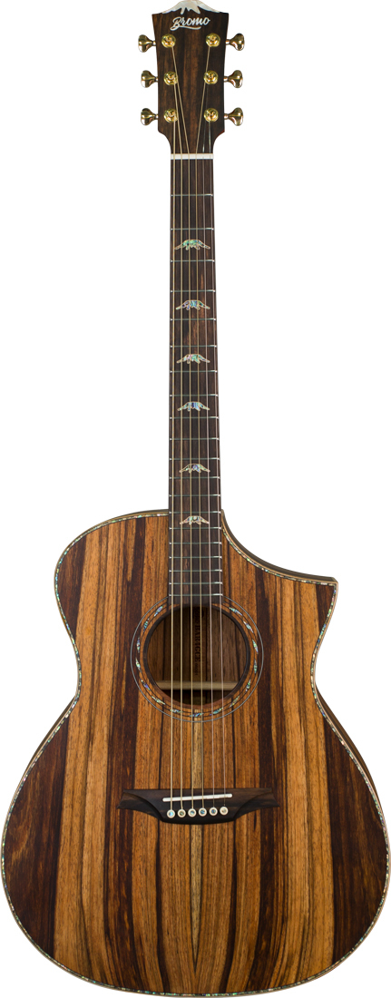 Guitare BROMO BAR4GCE avec housse