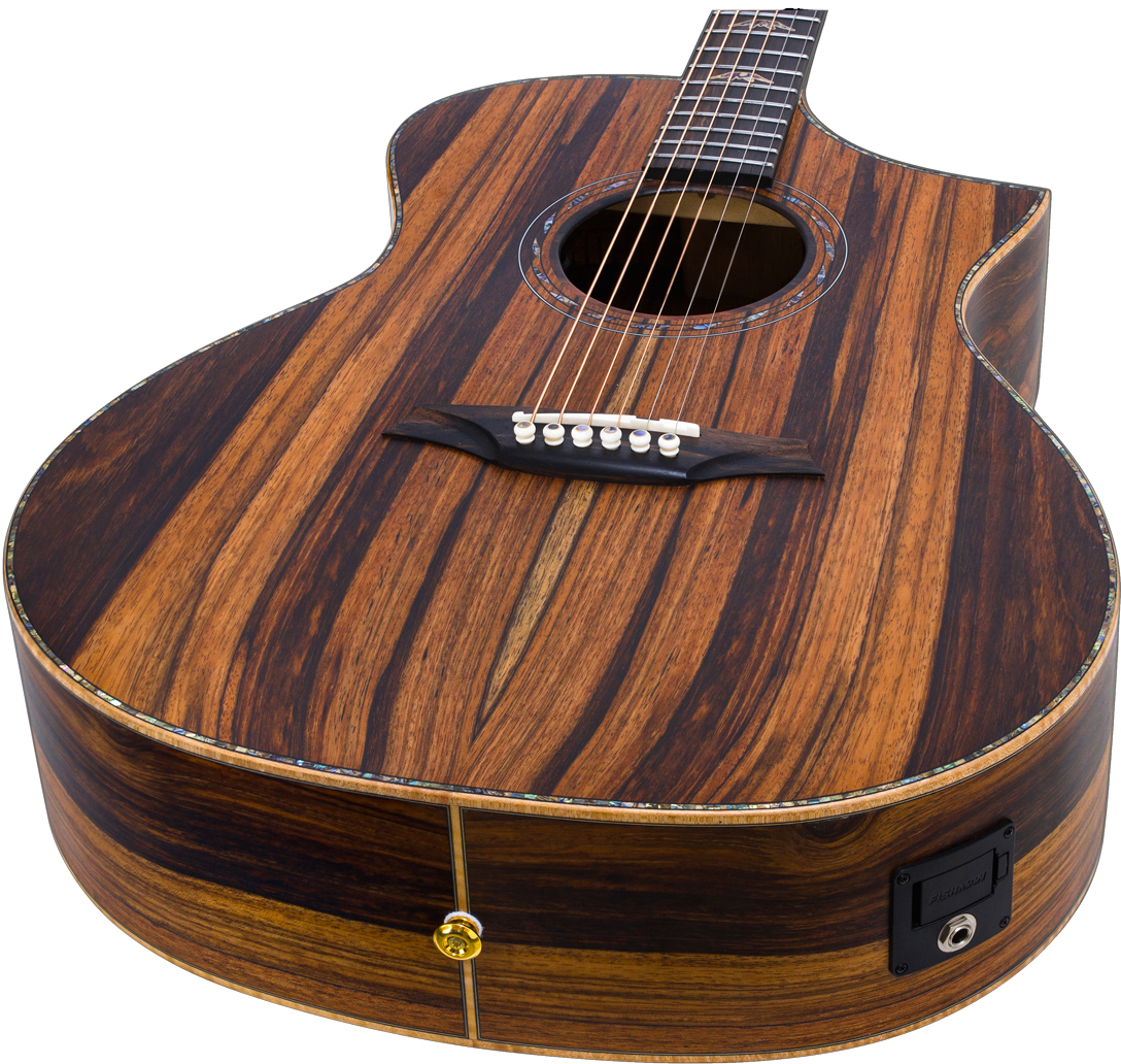 Guitare BROMO BAR4GCE avec housse