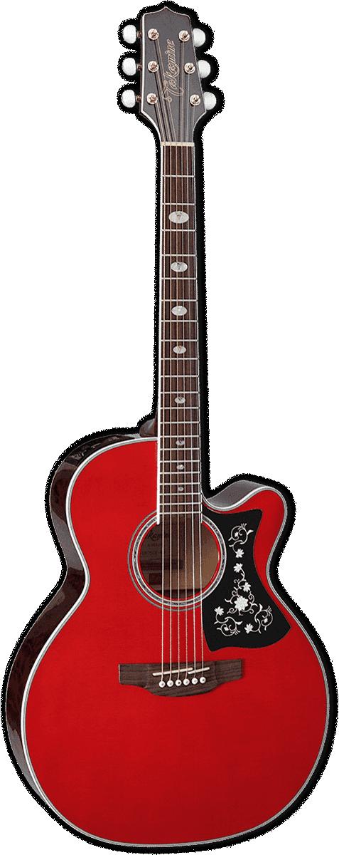 TAKAMINE GN75CEWR