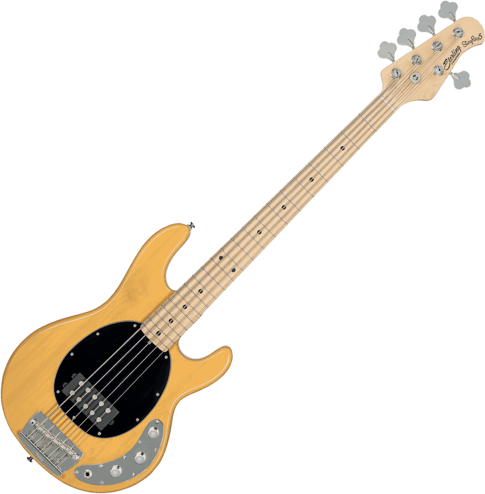 BASSE STERLING BY MUSICMAN - RAY25CA-BSC-M1