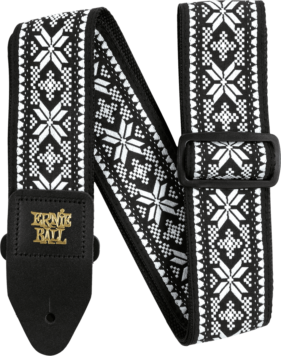 ERNIE BALL - 4665 midnight blizzard