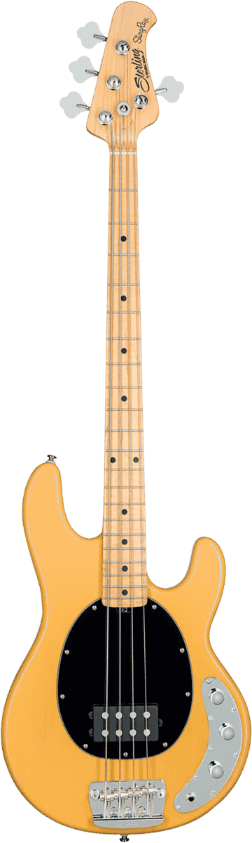 Basse STERLING BY MUSIC MAN - GSB RAY24CA-BSC-M1 Stingray Classic - Butterscotch