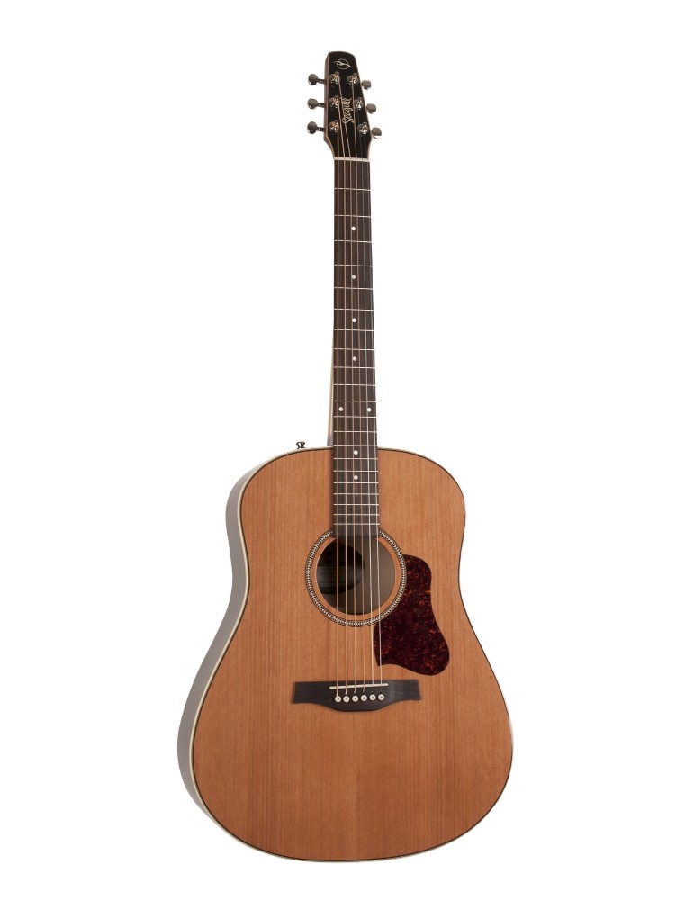 Guitare SEAGULL Coastline Momentum HG A/E